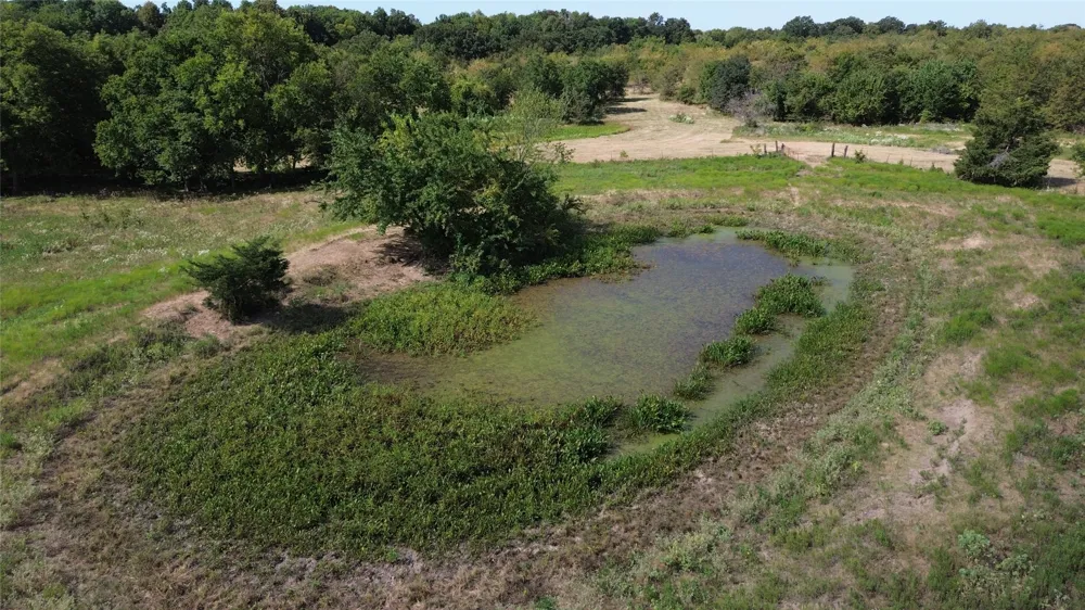 CR 3080 Ben Franklin, TX 75415