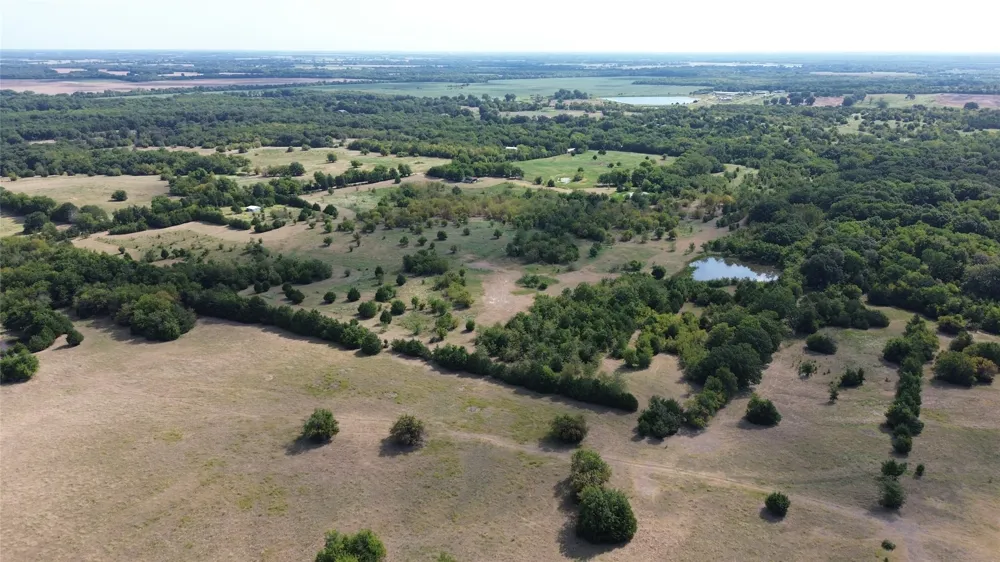 CR 3080 Ben Franklin, TX 75415