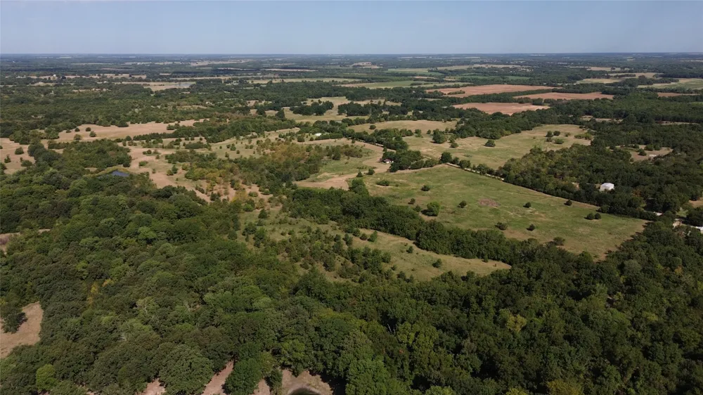 CR 3080 Ben Franklin, TX 75415
