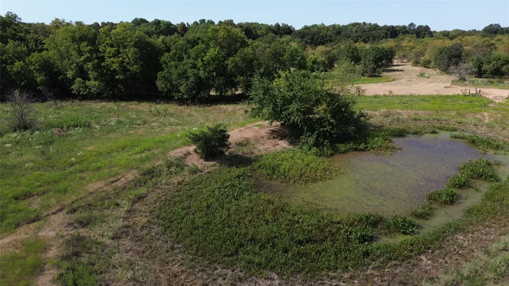 CR 3080 Ben Franklin, TX 75415