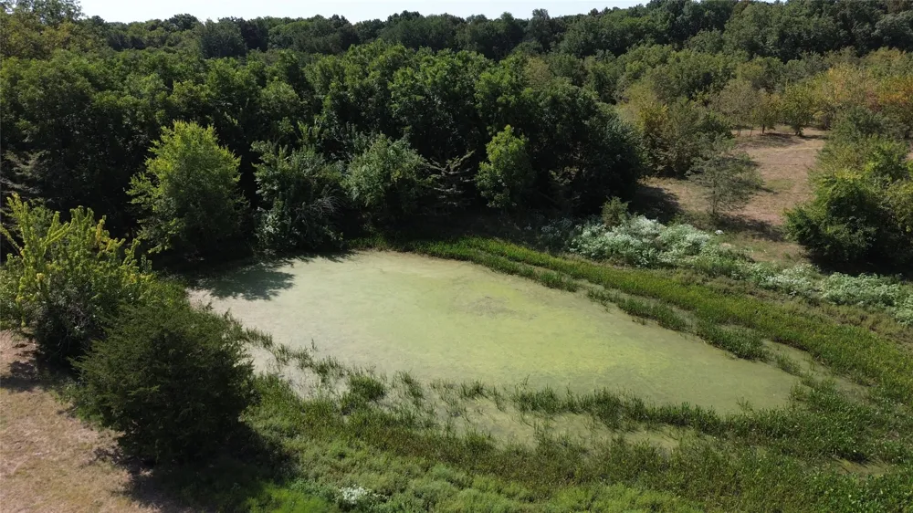 CR 3080 Ben Franklin, TX 75415