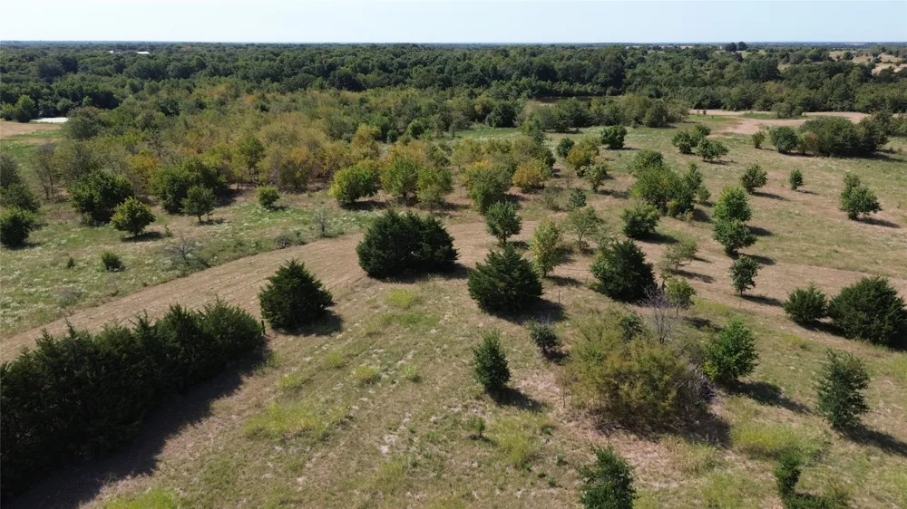 CR 3080 Ben Franklin, TX 75415