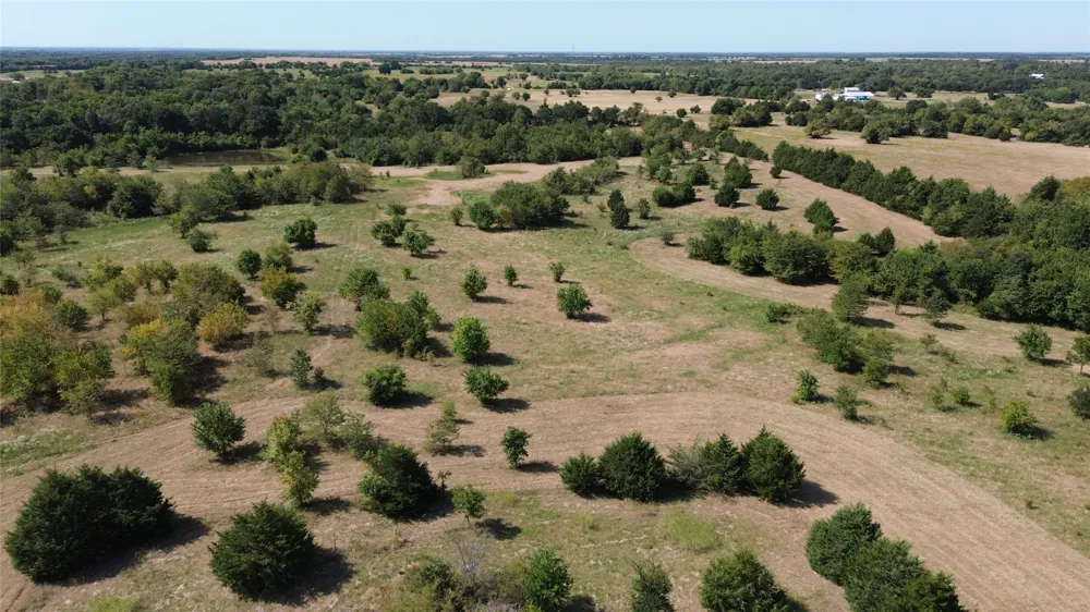 CR 3080 Ben Franklin, TX 75415