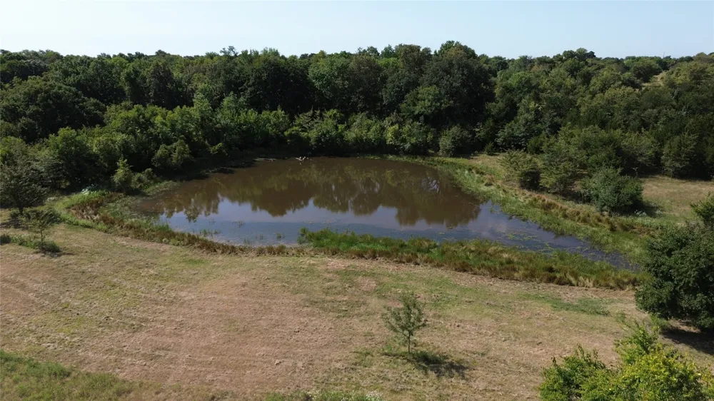 CR 3080 Ben Franklin, TX 75415
