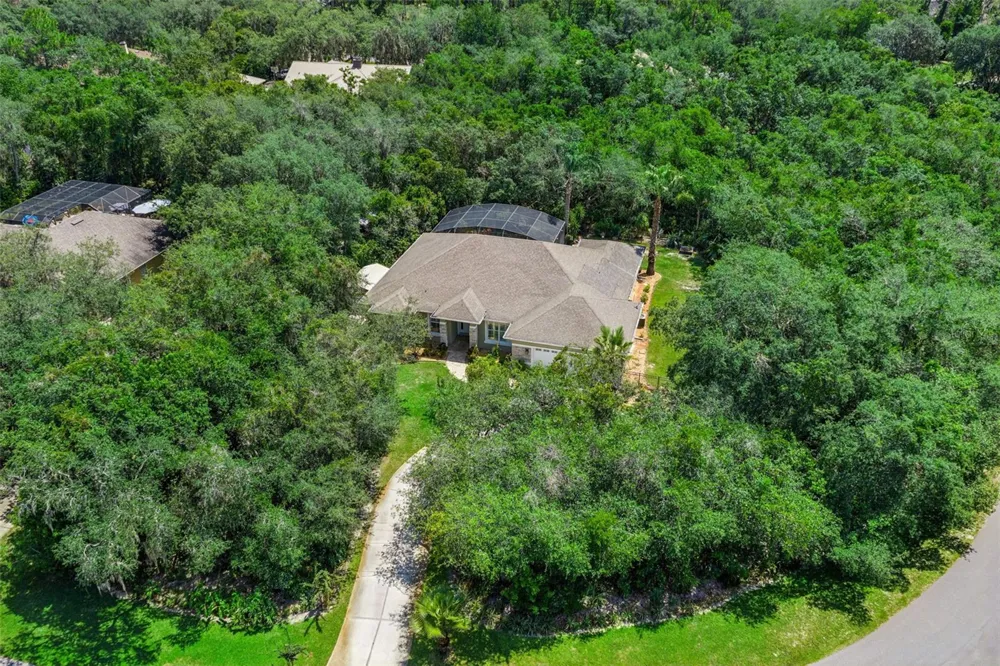 11540 NELLIE OAKS BEND Clermont, FL 34711