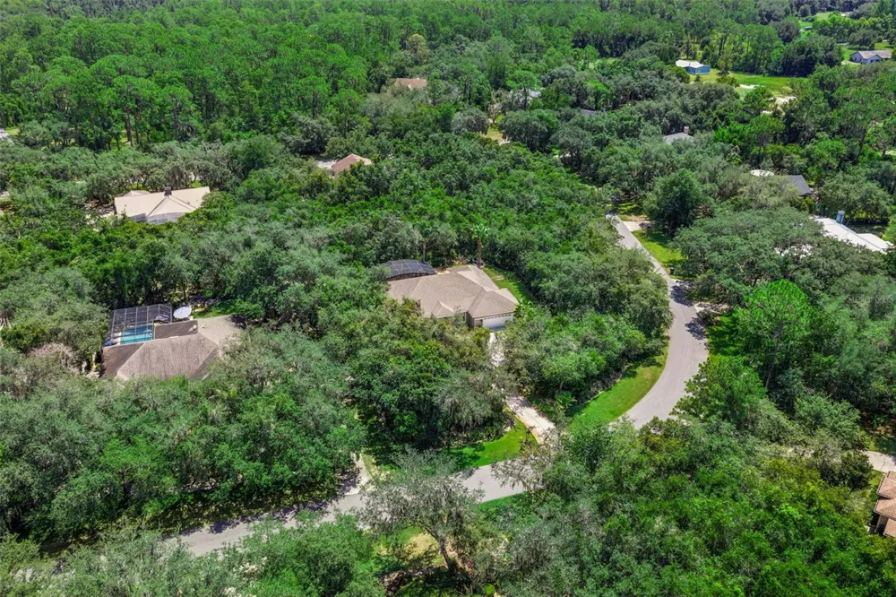 11540 NELLIE OAKS BEND Clermont, FL 34711