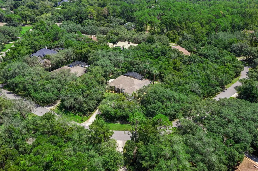 11540 NELLIE OAKS BEND Clermont, FL 34711