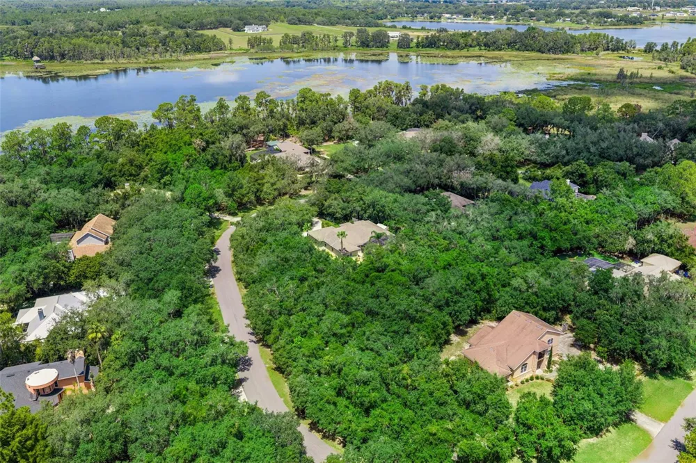 11540 NELLIE OAKS BEND Clermont, FL 34711