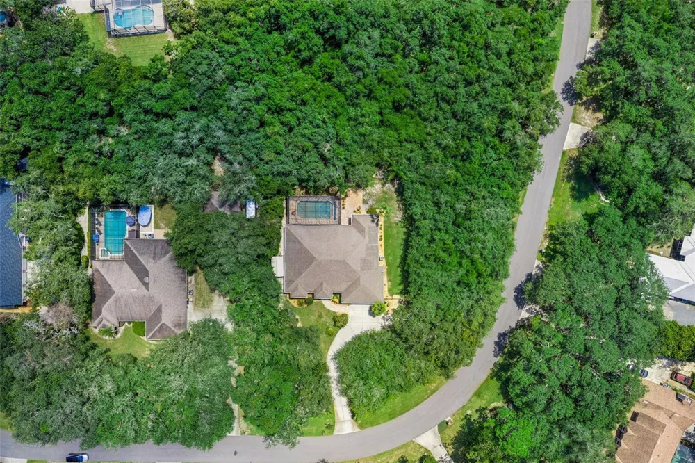 11540 NELLIE OAKS BEND Clermont, FL 34711