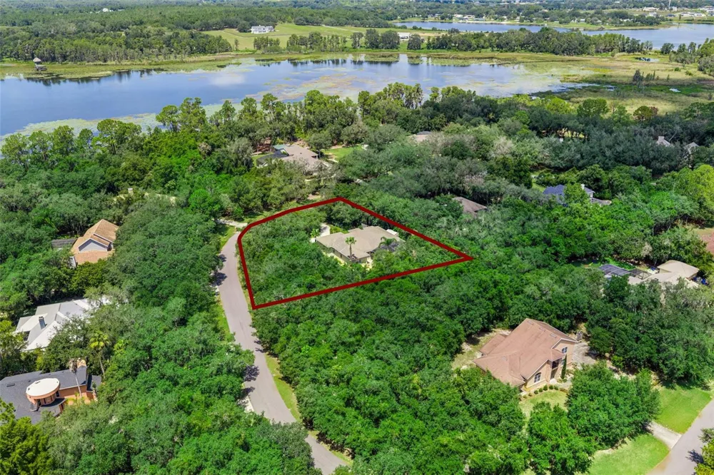 11540 NELLIE OAKS BEND Clermont, FL 34711