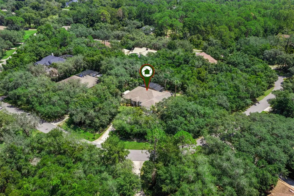 11540 NELLIE OAKS BEND Clermont, FL 34711