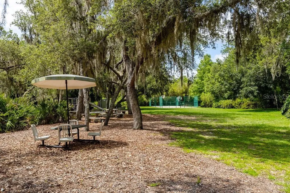 11540 NELLIE OAKS BEND Clermont, FL 34711