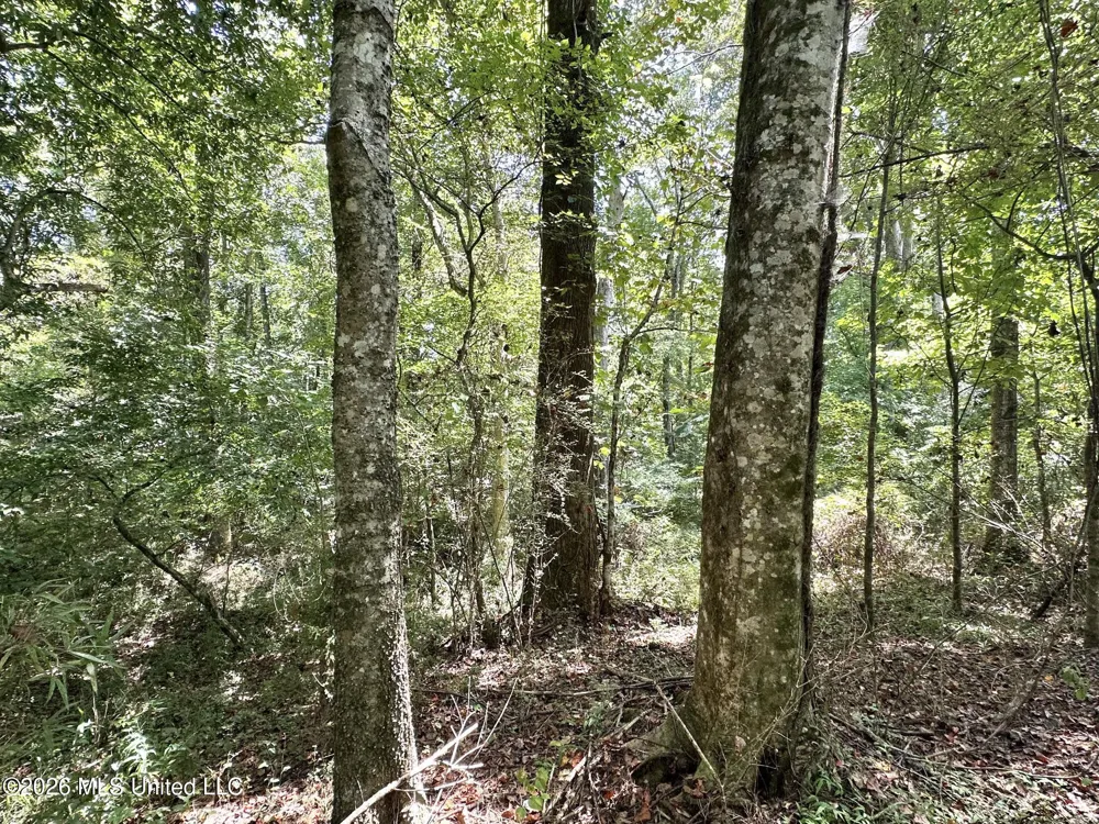 3 County Road 24 Enterprise, MS 39330