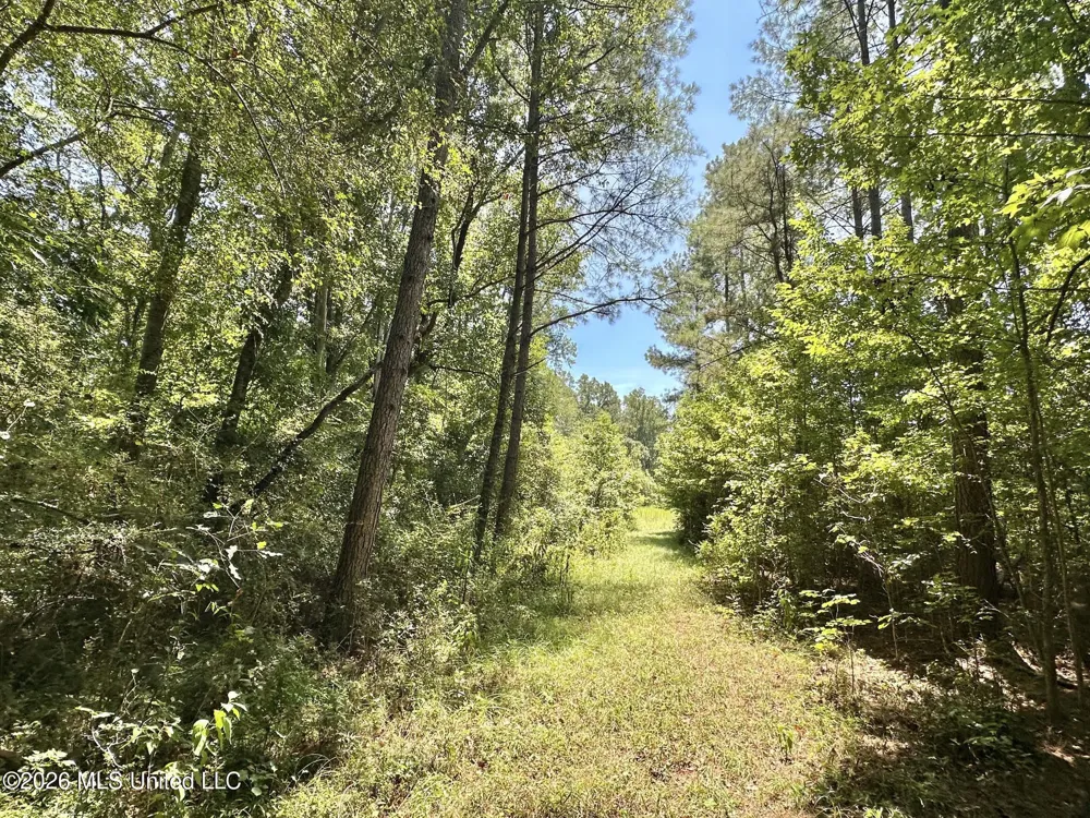 3 County Road 24 Enterprise, MS 39330