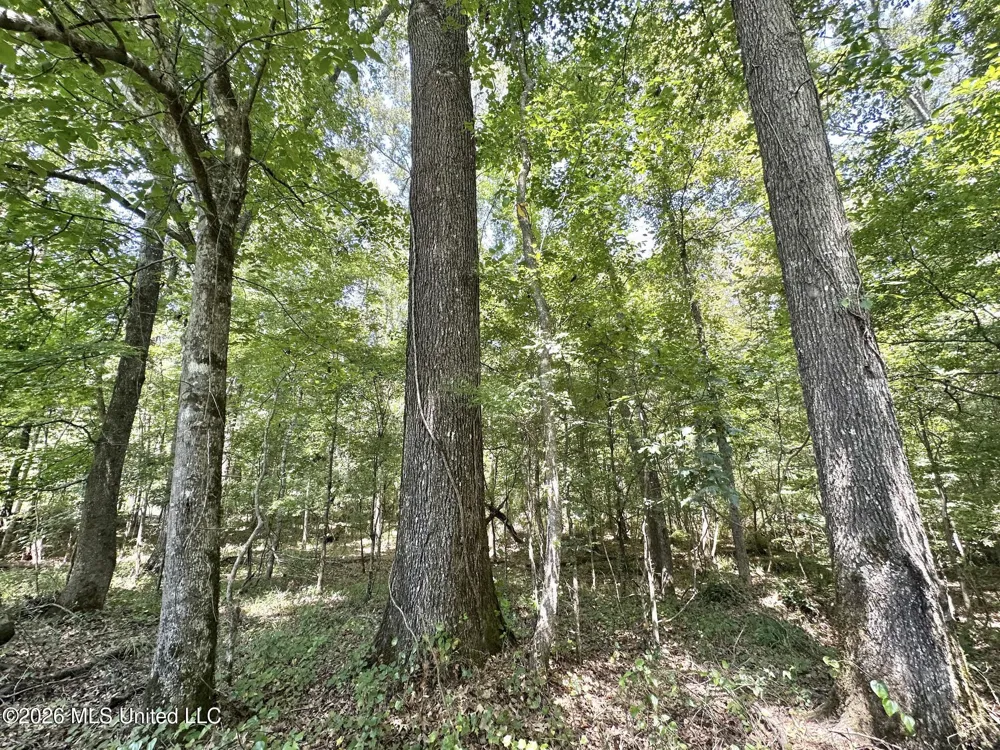 3 County Road 24 Enterprise, MS 39330