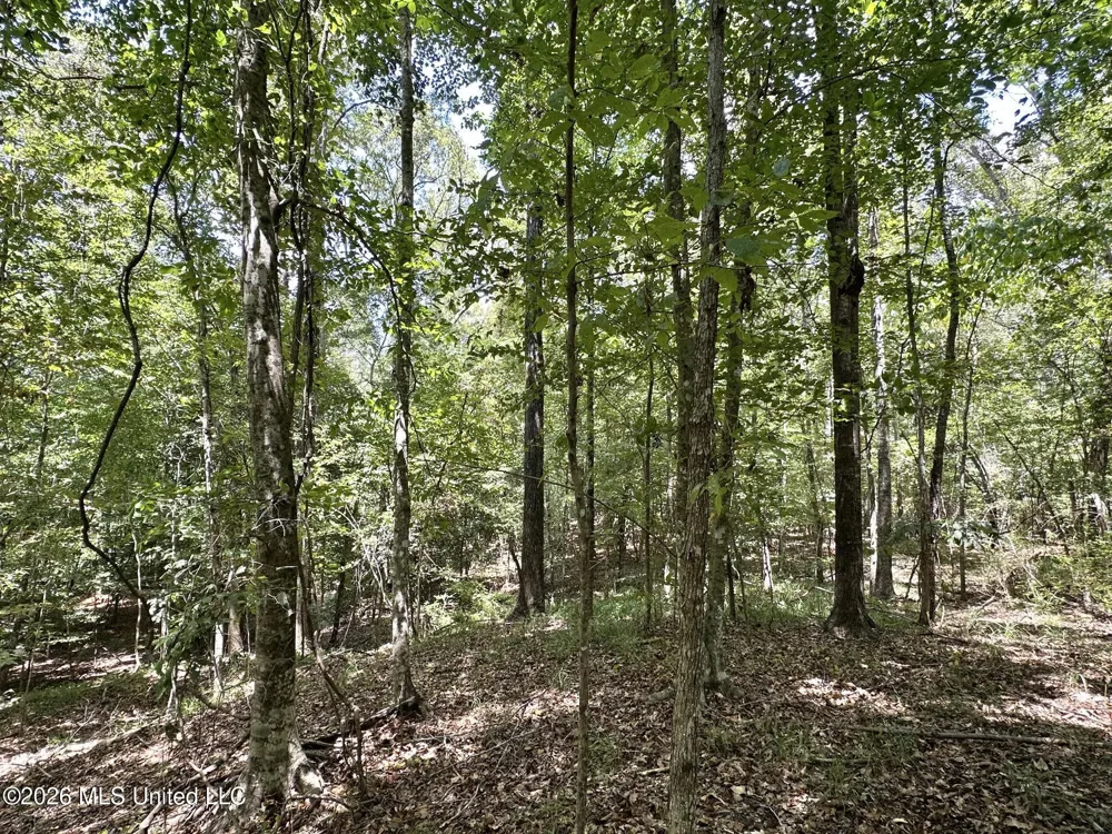 3 County Road 24 Enterprise, MS 39330