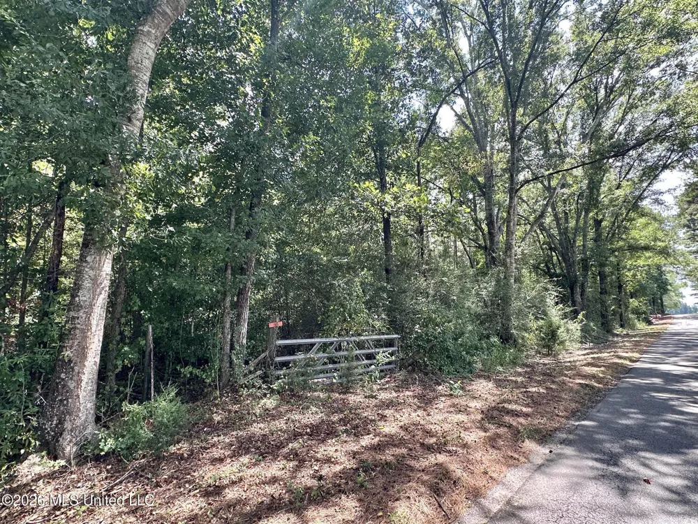 3 County Road 24 Enterprise, MS 39330