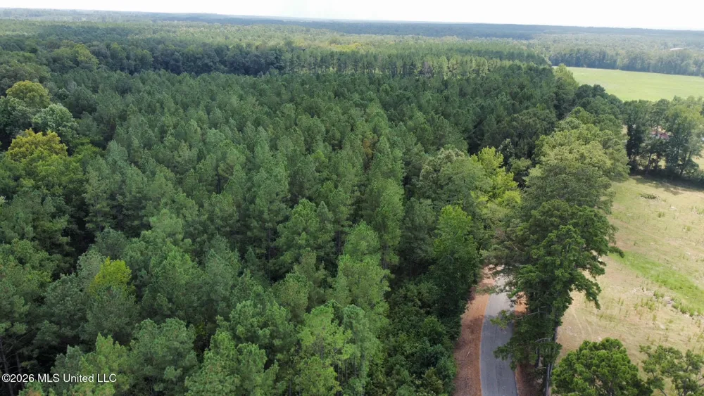 3 County Road 24 Enterprise, MS 39330