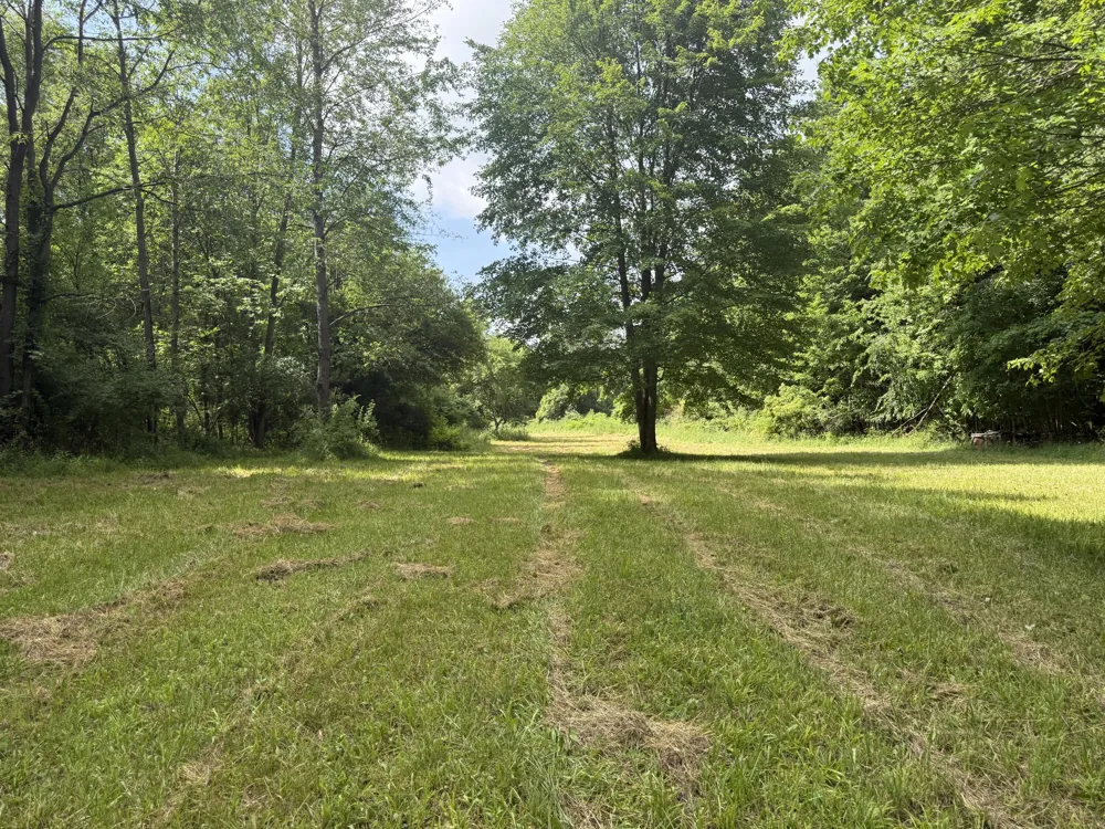 Hagerman Road Leonard, MI 48367