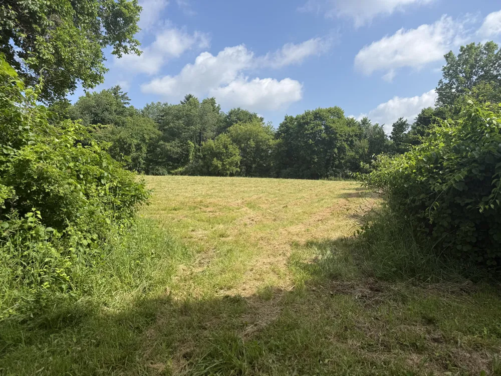 Hagerman Road Leonard, MI 48367