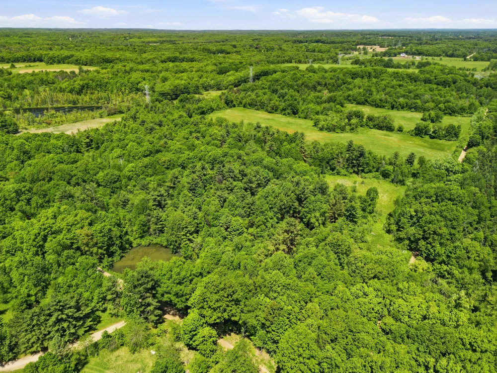 Hagerman Road Leonard, MI 48367