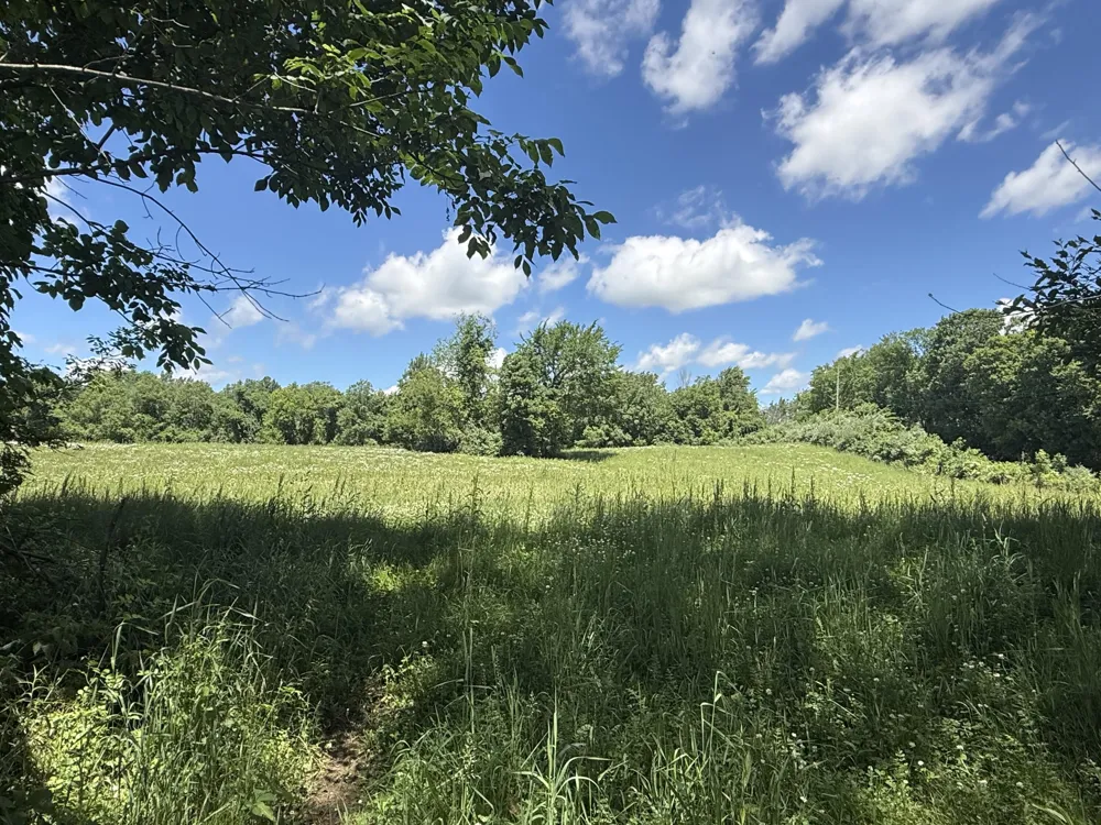 Hagerman Road Leonard, MI 48367