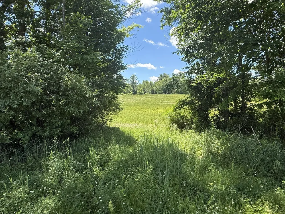 Hagerman Road Leonard, MI 48367