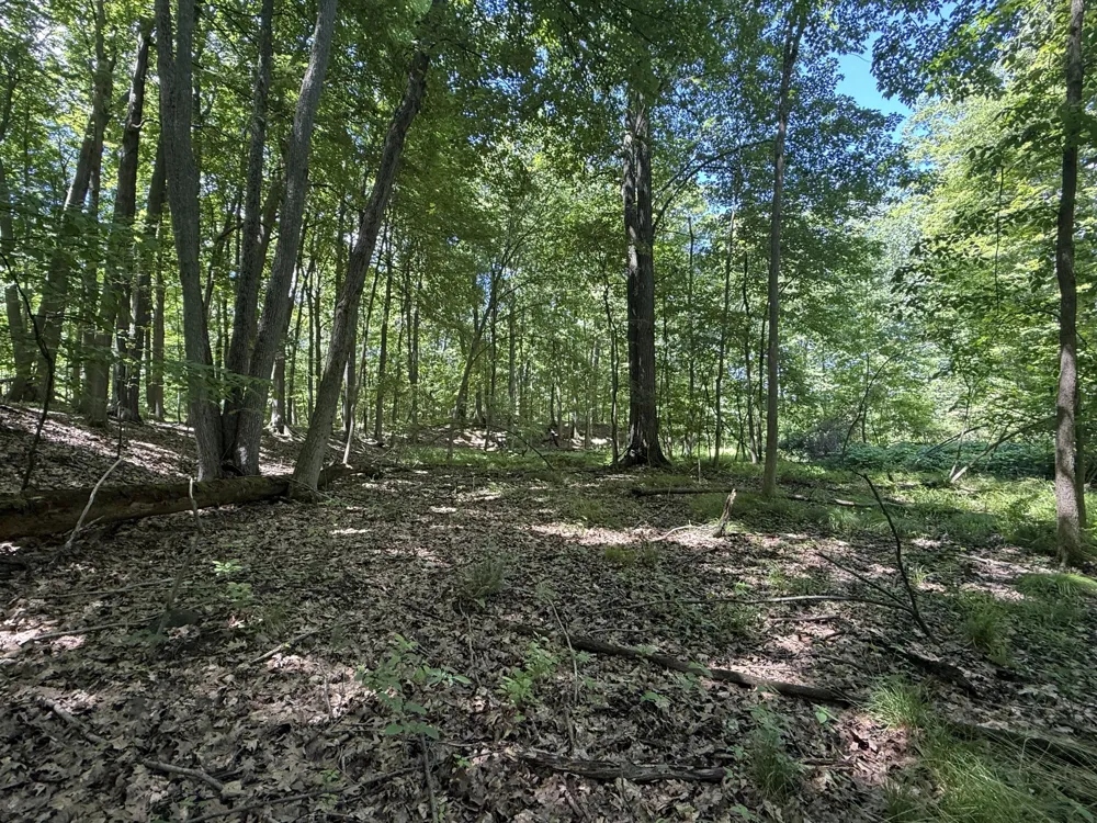 Hagerman Road Leonard, MI 48367