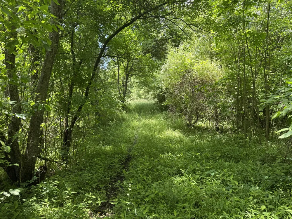 Hagerman Road Leonard, MI 48367