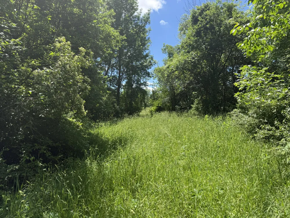 Hagerman Road Leonard, MI 48367
