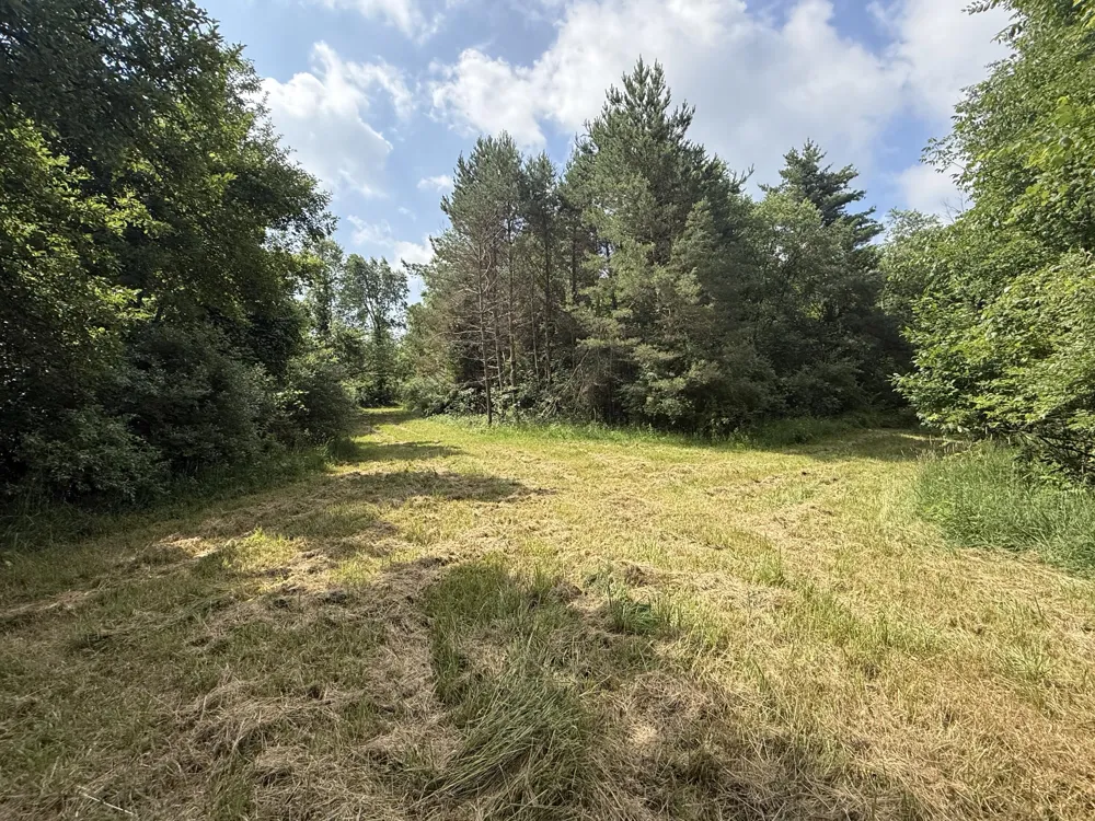 Hagerman Road Leonard, MI 48367
