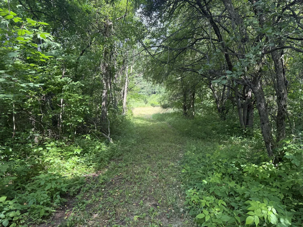 Hagerman Road Leonard, MI 48367