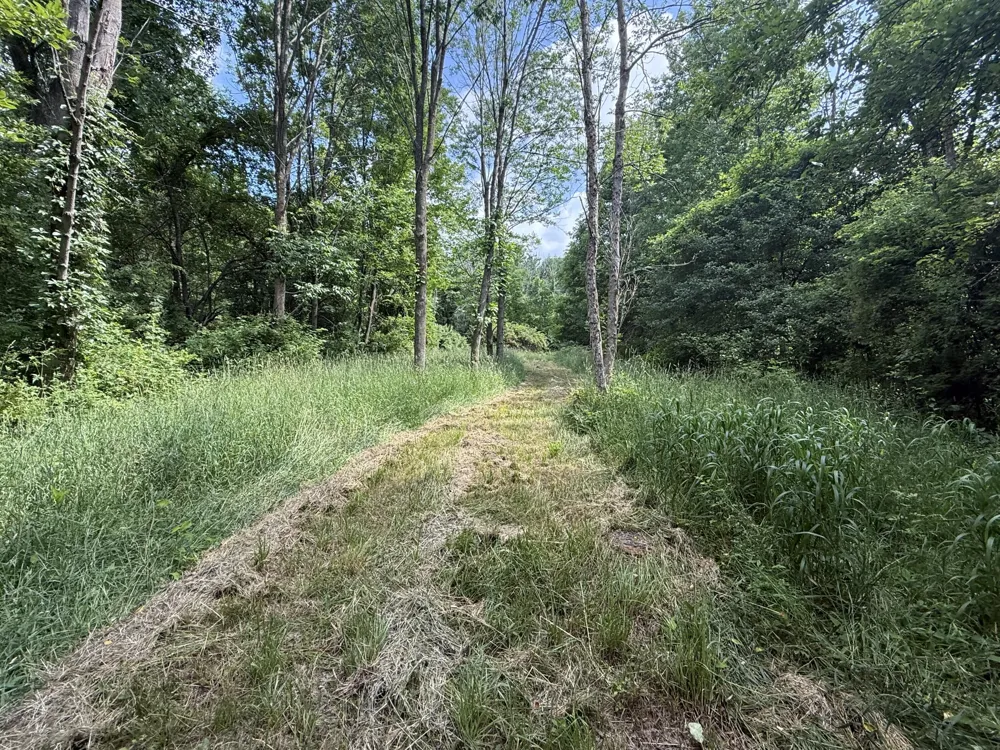 Hagerman Road Leonard, MI 48367