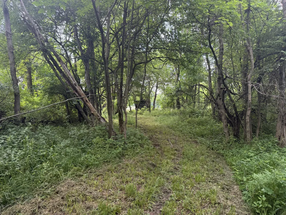 Hagerman Road Leonard, MI 48367