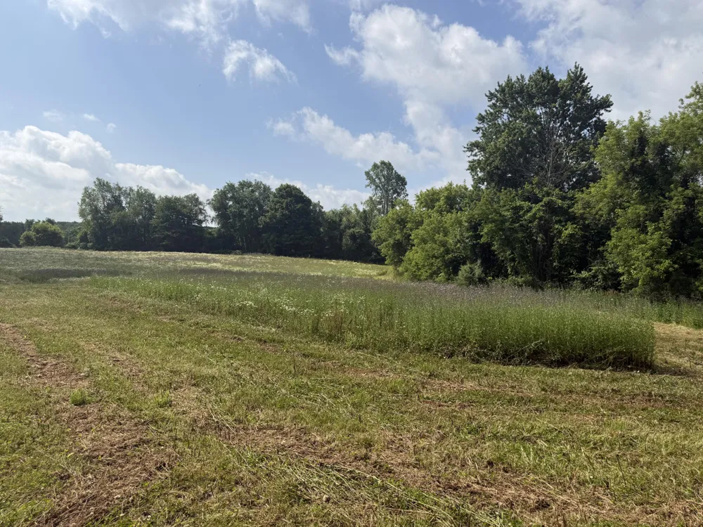 Hagerman Road Leonard, MI 48367