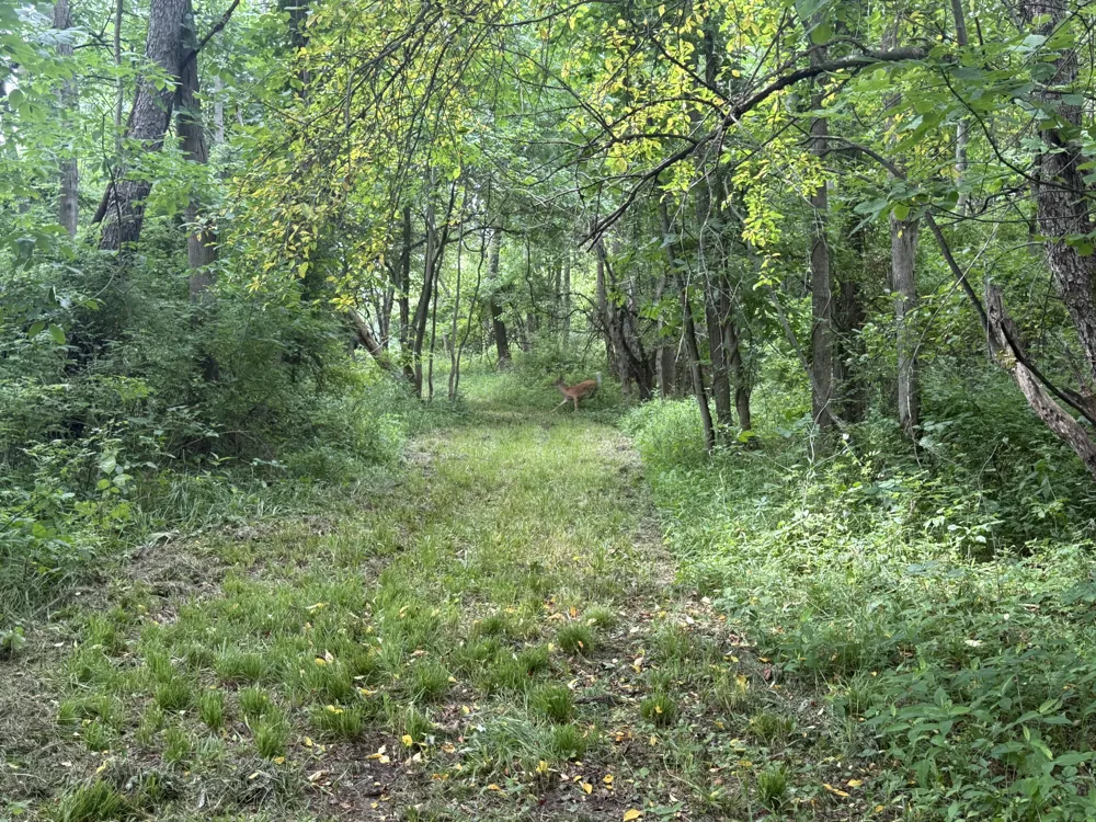 Hagerman Road Leonard, MI 48367