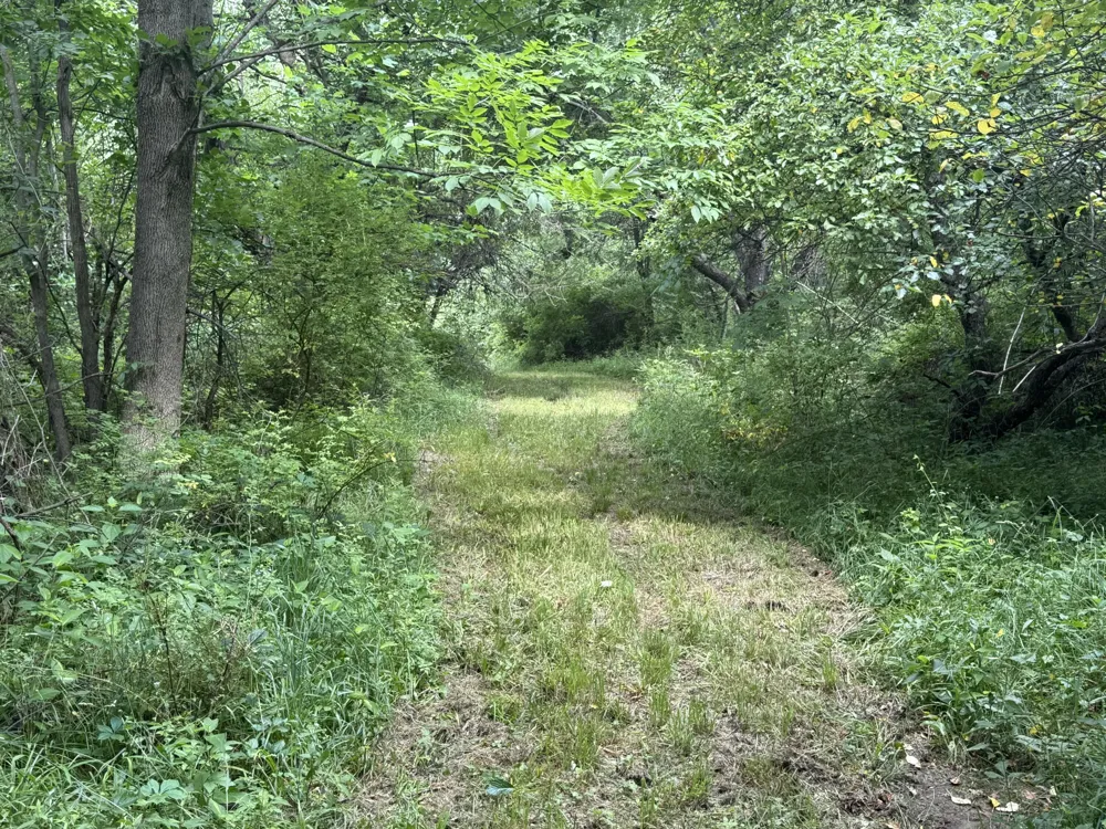 Hagerman Road Leonard, MI 48367
