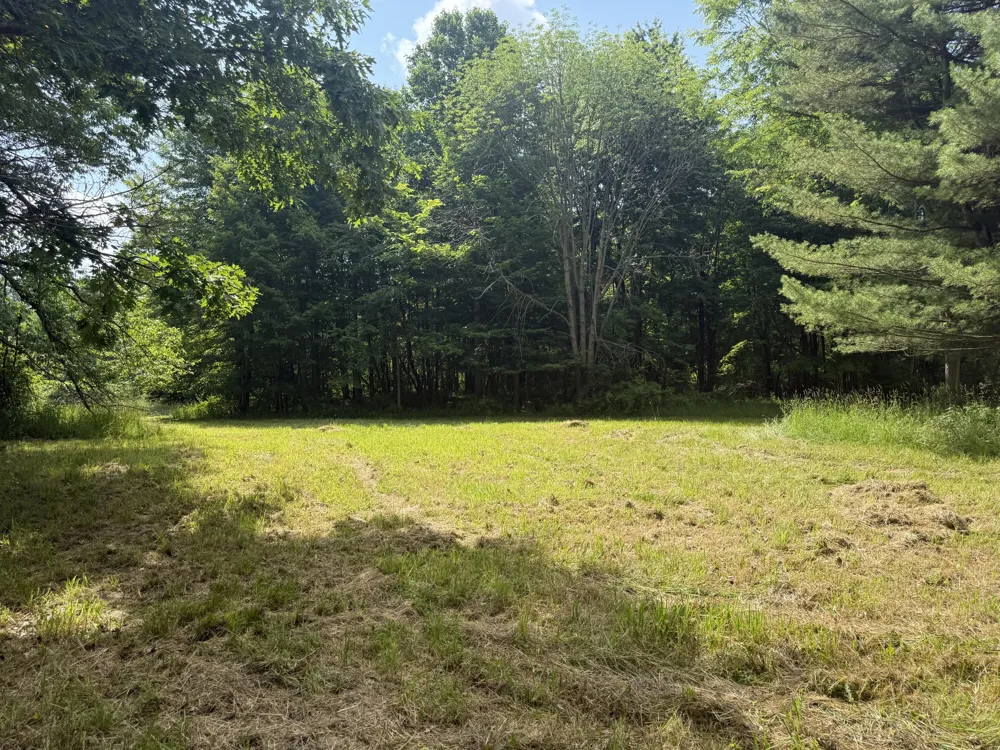Hagerman Road Leonard, MI 48367