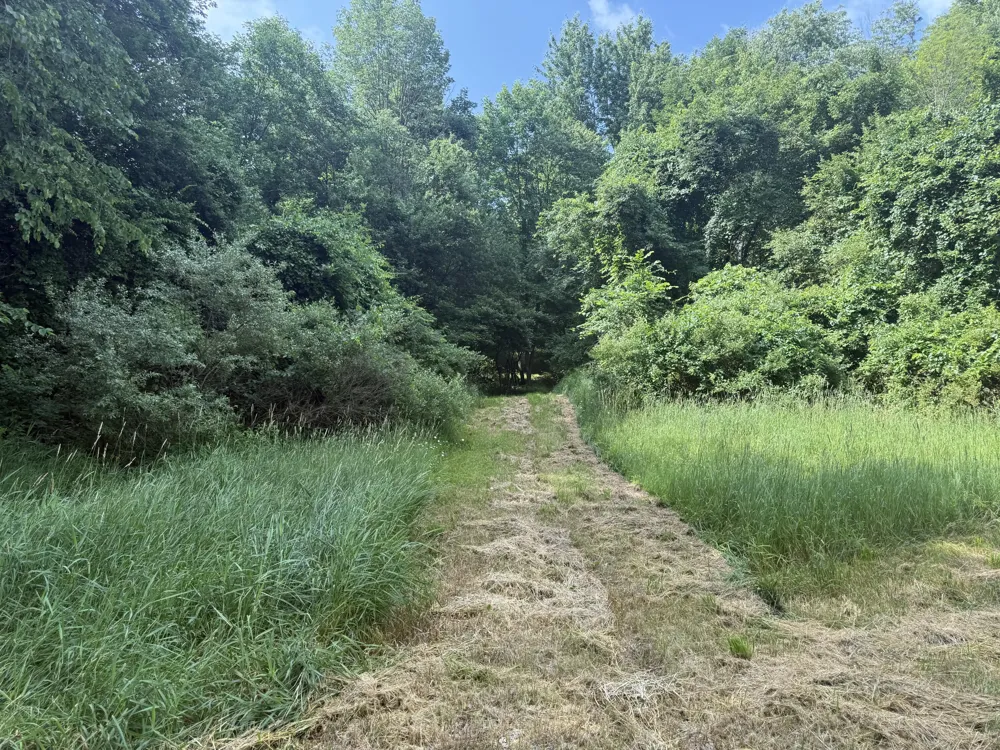 Hagerman Road Leonard, MI 48367