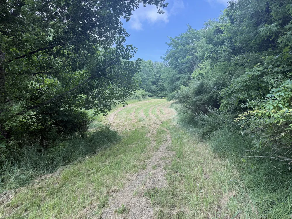 Hagerman Road Leonard, MI 48367