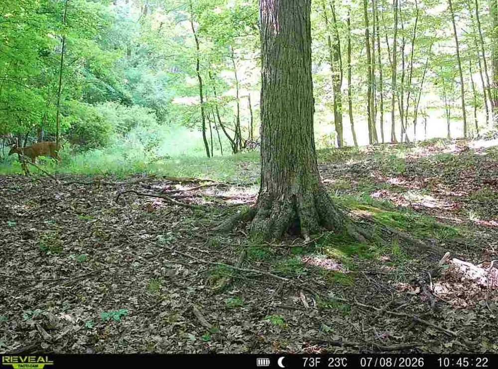 Hagerman Road Leonard, MI 48367