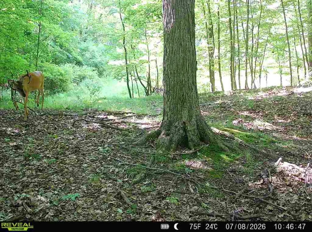Hagerman Road Leonard, MI 48367