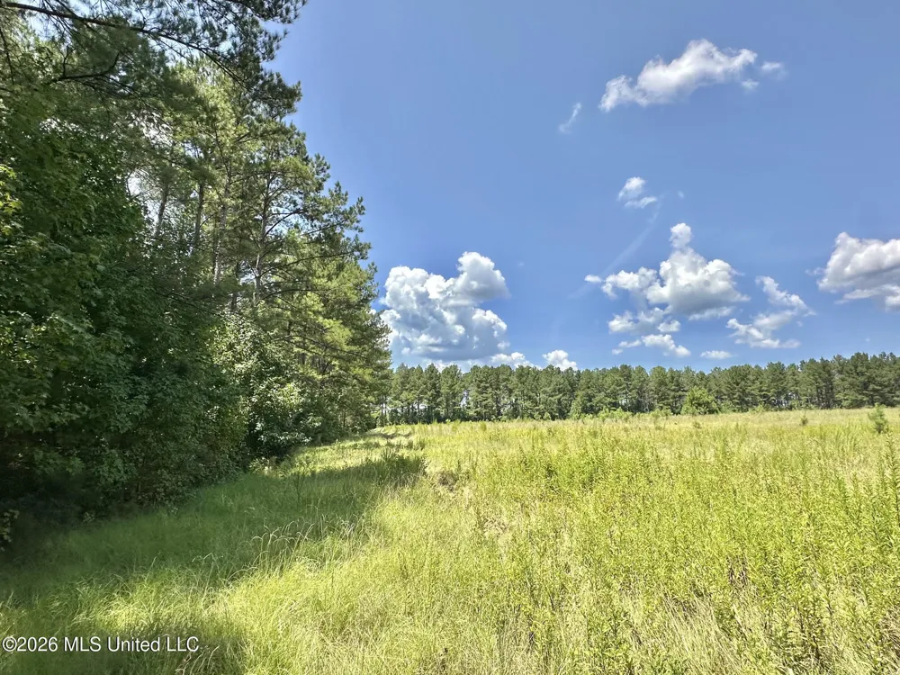 4 County Road 24 Enterprise, MS 39330
