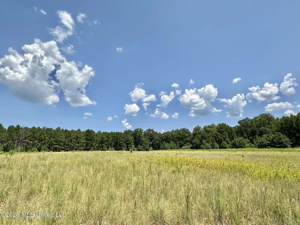 4 County Road 24 Enterprise, MS 39330