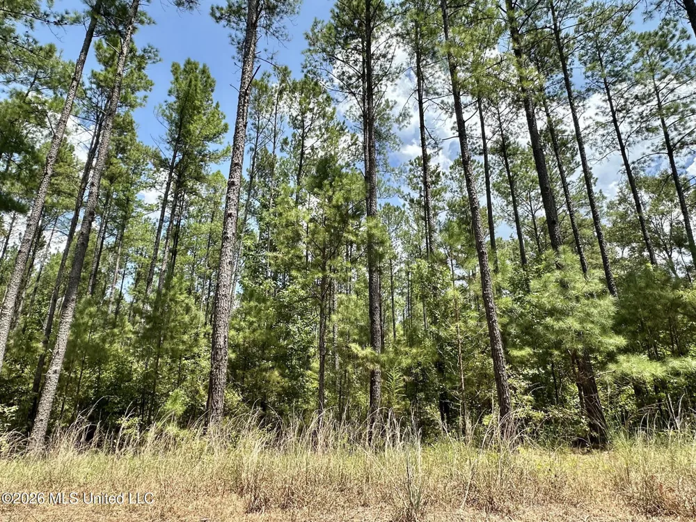 4 County Road 24 Enterprise, MS 39330