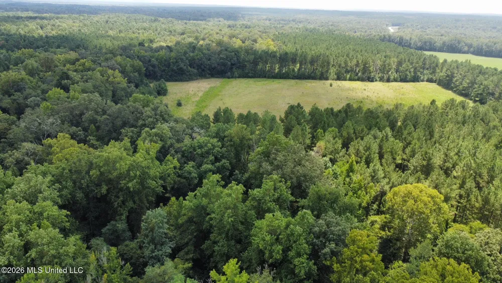 4 County Road 24 Enterprise, MS 39330