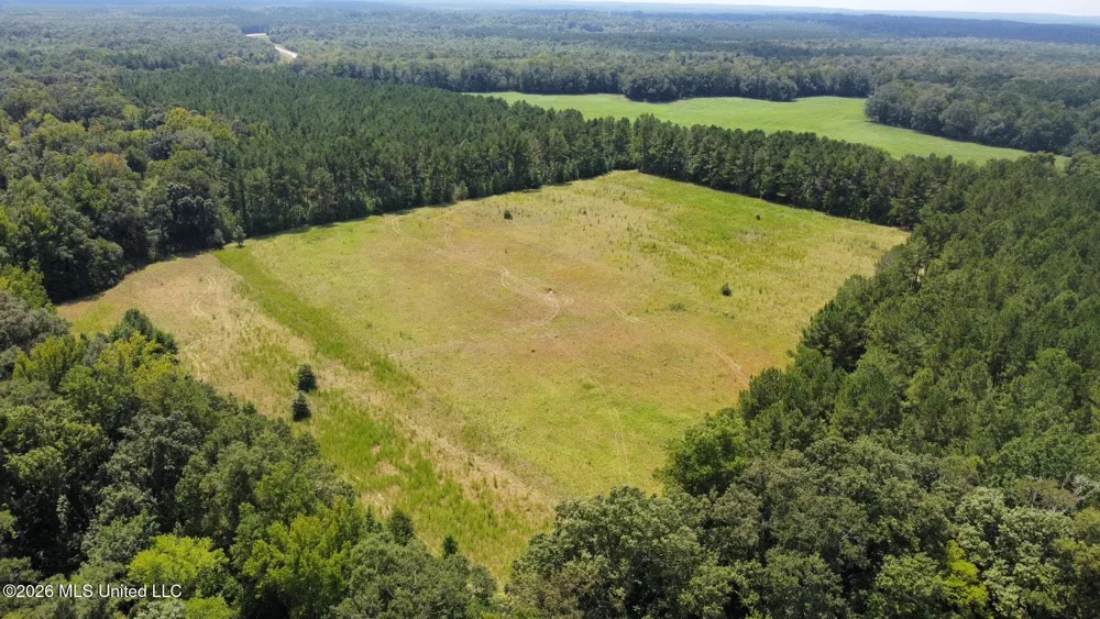 4 County Road 24 Enterprise, MS 39330