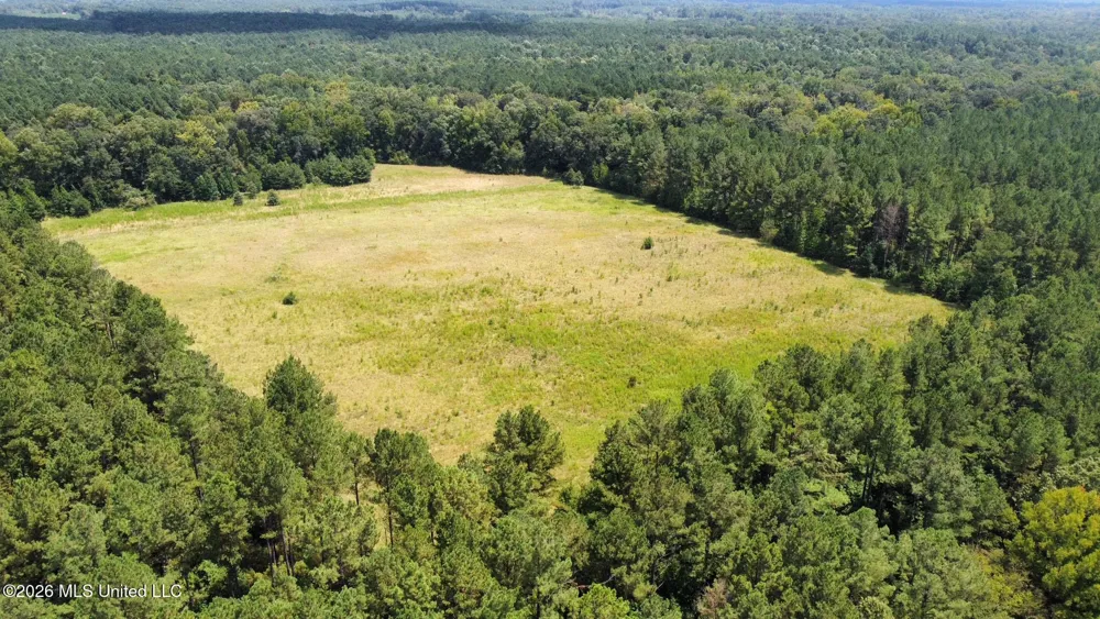 4 County Road 24 Enterprise, MS 39330