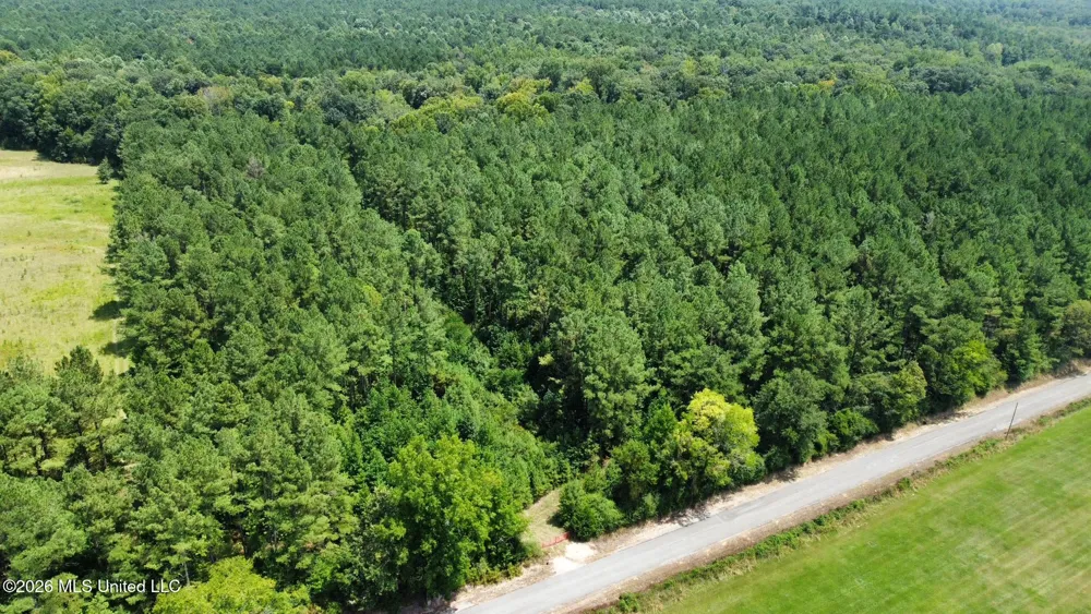 4 County Road 24 Enterprise, MS 39330