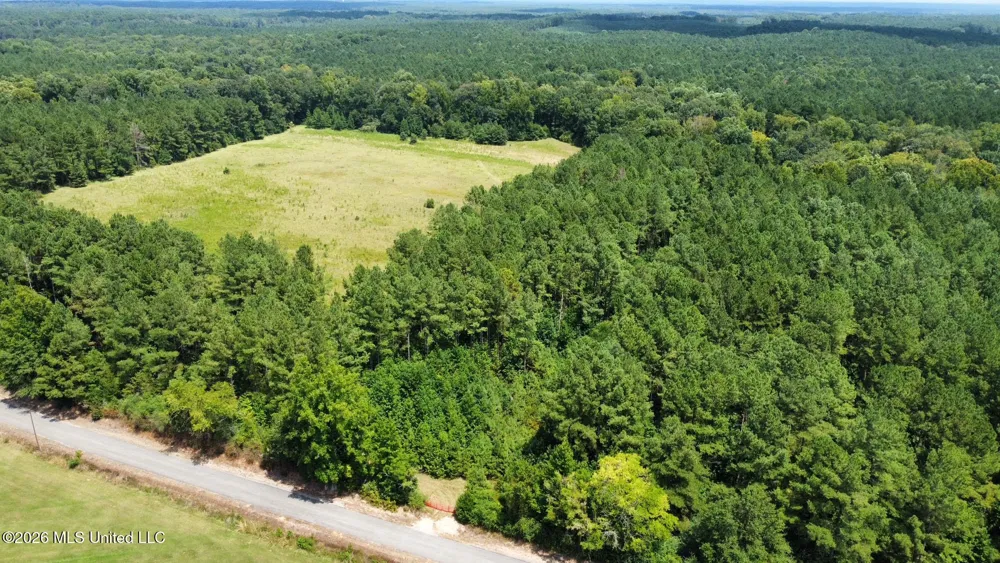 4 County Road 24 Enterprise, MS 39330